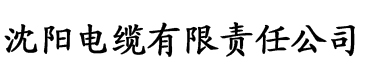 芭乐视频apP污电缆厂logo